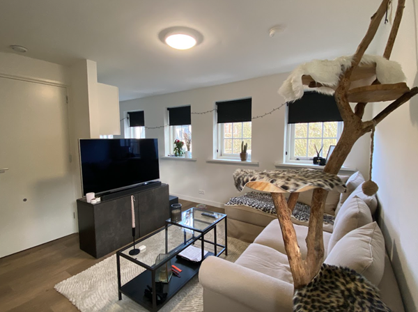 Medium property photo - Nieuwe Boteringestraat 38E, 9712 PM Groningen